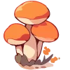 🍄